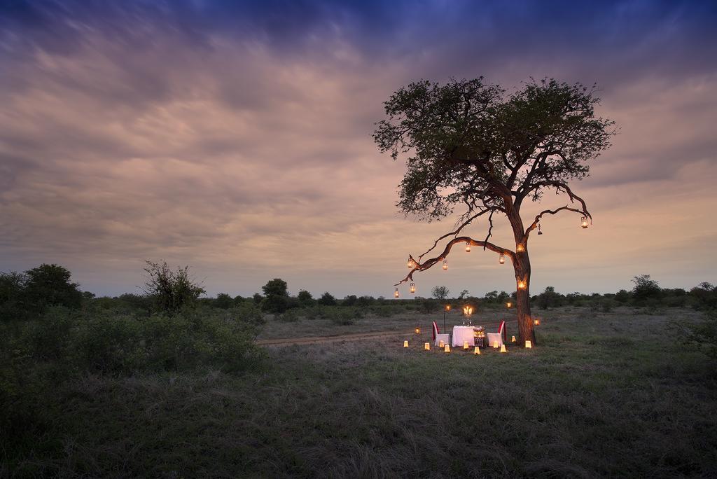 Tanda Tula Safari Camp Villa Timbavati Vadrezervátum Kültér fotó