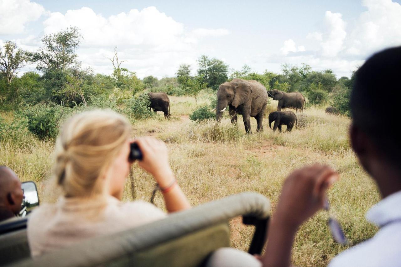 Tanda Tula Safari Camp Villa Timbavati Vadrezervátum Kültér fotó