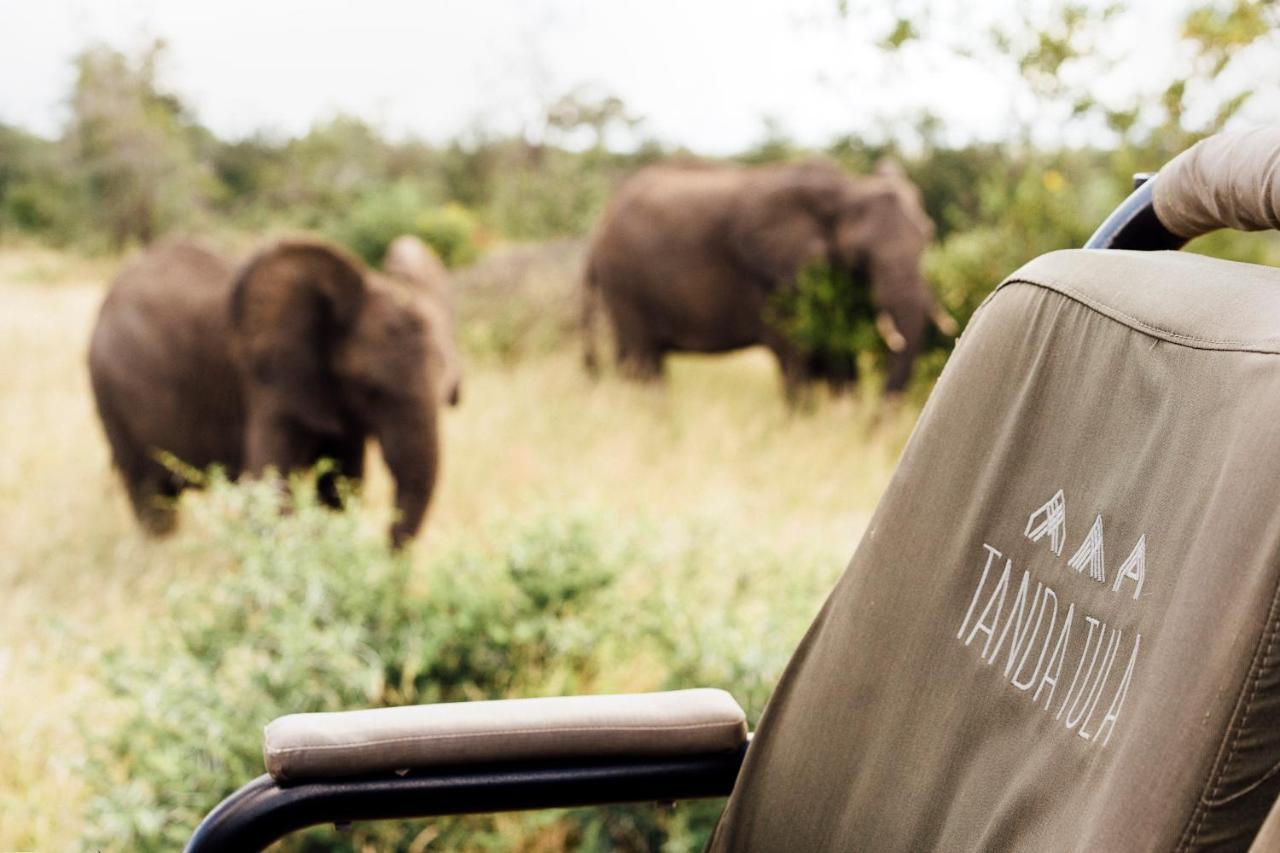 Tanda Tula Safari Camp Villa Timbavati Vadrezervátum Kültér fotó