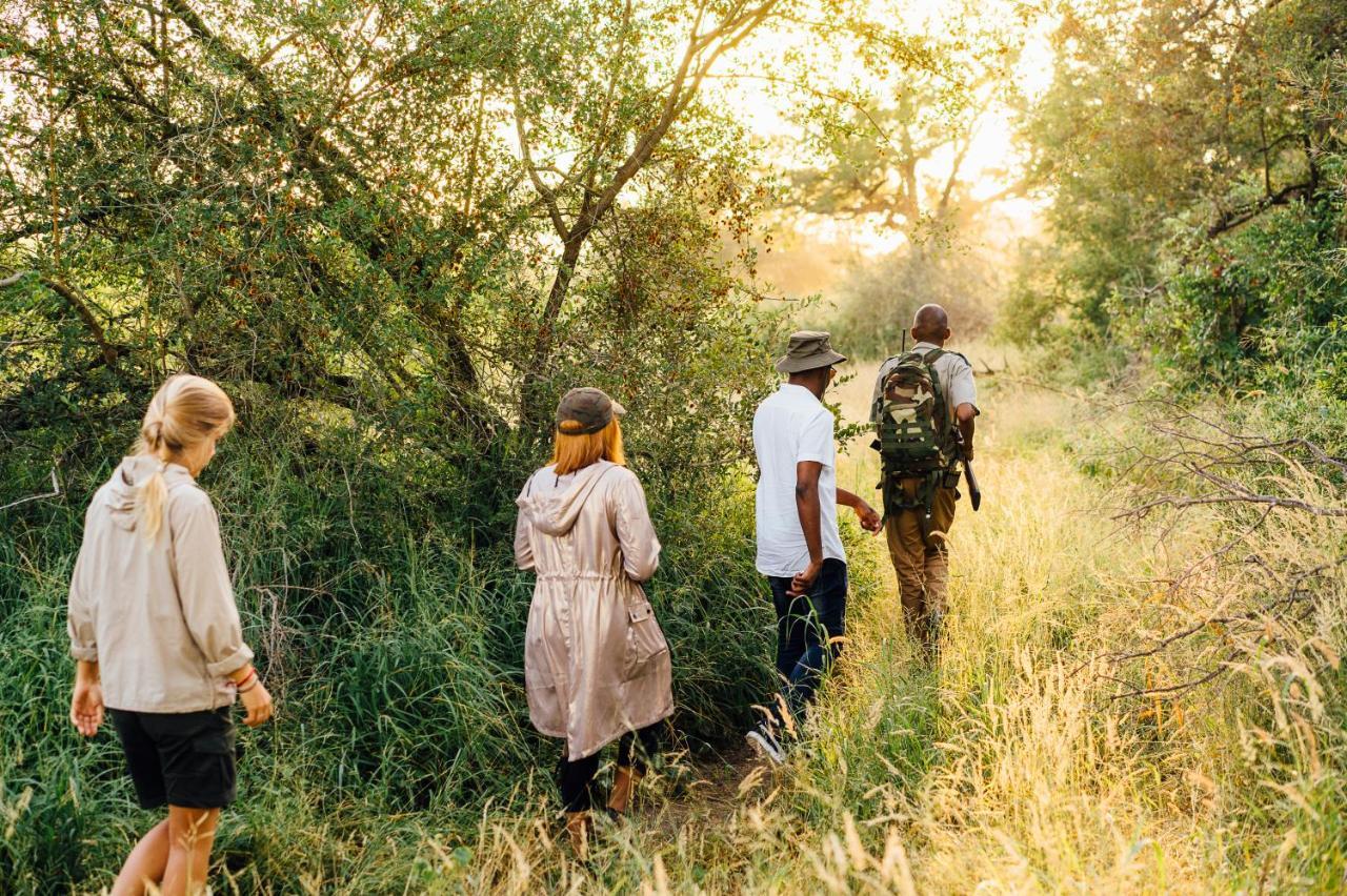 Tanda Tula Safari Camp Villa Timbavati Vadrezervátum Kültér fotó
